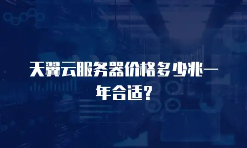 天翼云服务器价格多少兆一年合适？