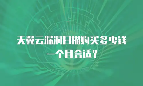 天翼云漏洞扫描购买多少钱一个月合适？