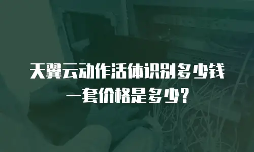 天翼云动作活体识别多少钱一套价格是多少？