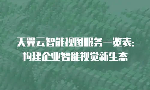 天翼云智能视图服务一览表：构建企业智能视觉新生态