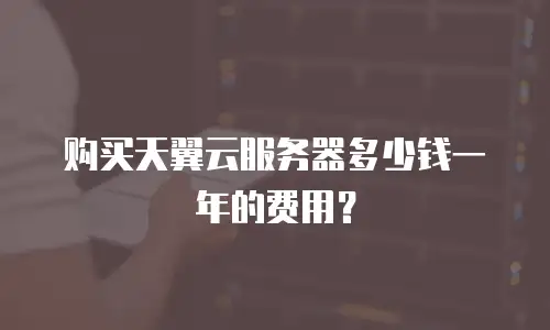 购买天翼云服务器多少钱一年的费用？