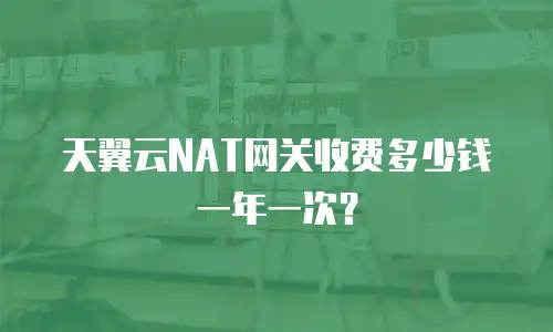 天翼云NAT网关收费多少钱一年一次？