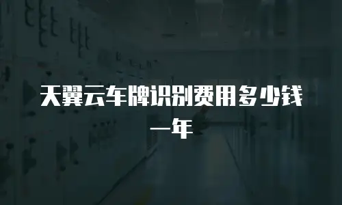 天翼云车牌识别费用多少钱一年