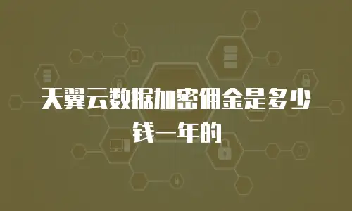 天翼云数据加密佣金是多少钱一年的