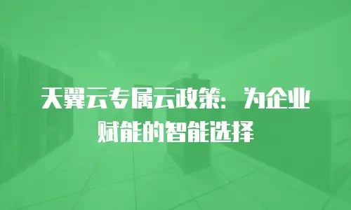 天翼云专属云政策：为企业赋能的智能选择