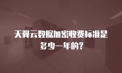 天翼云数据加密收费标准是多少一年的？