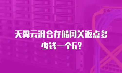 天翼云混合存储网关返点多少钱一个G？
