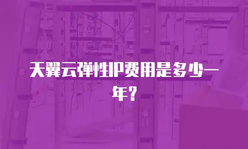 天翼云弹性IP费用是多少一年？
