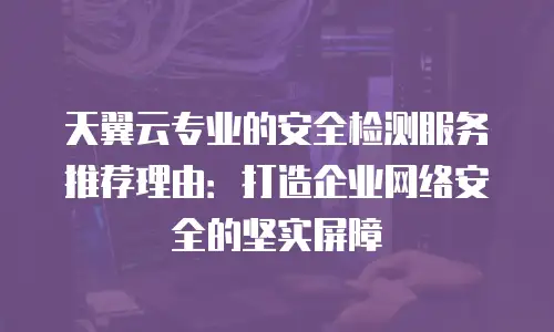 天翼云专业的安全检测服务推荐理由：打造企业网络安全的坚实屏障