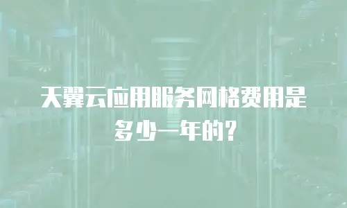 天翼云应用服务网格费用是多少一年的？