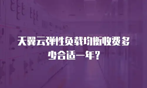 天翼云弹性负载均衡收费多少合适一年？