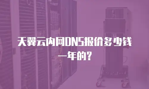 天翼云内网DNS报价多少钱一年的？