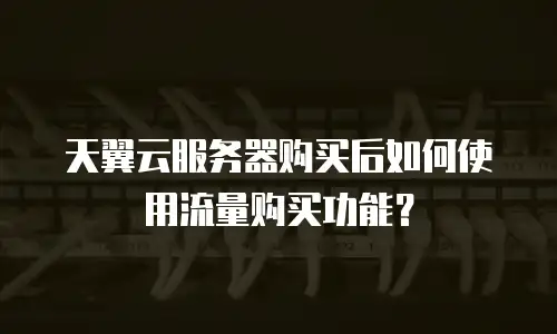 天翼云服务器购买后如何使用流量购买功能？