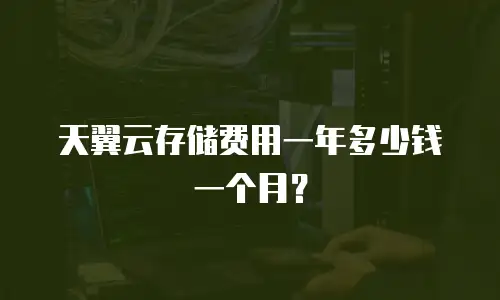 天翼云存储费用一年多少钱一个月？