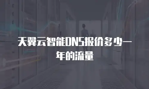 天翼云智能DNS报价多少一年的流量