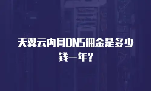 天翼云内网DNS佣金是多少钱一年？