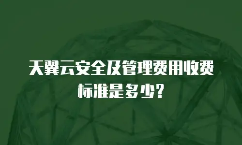 天翼云安全及管理费用收费标准是多少？