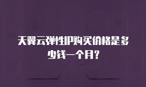 天翼云弹性IP购买价格是多少钱一个月？