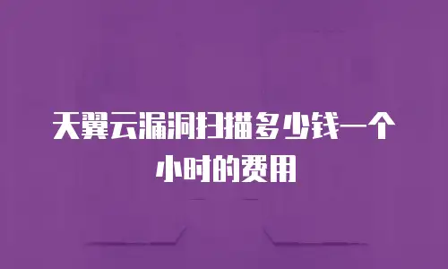 天翼云漏洞扫描多少钱一个小时的费用