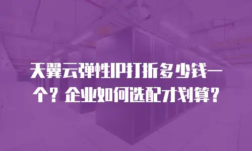 天翼云弹性IP打折多少钱一个？企业如何选配才划算？