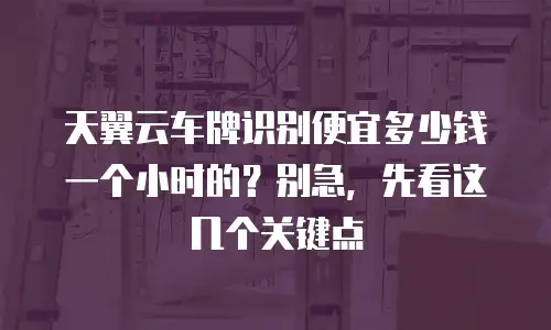天翼云车牌识别便宜多少钱一个小时的？别急，先看这几个关键点