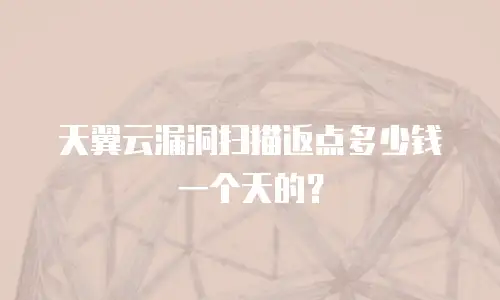 天翼云漏洞扫描返点多少钱一个天的？