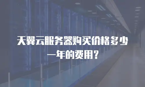 天翼云服务器购买价格多少一年的费用？