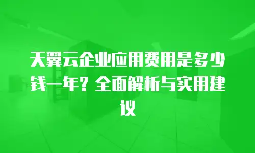 天翼云企业应用费用是多少钱一年？全面解析与实用建议