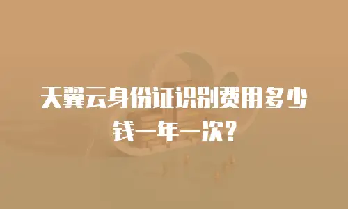 天翼云身份证识别费用多少钱一年一次？