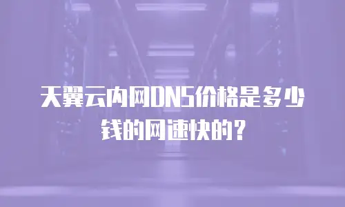 天翼云内网DNS价格是多少钱的网速快的？