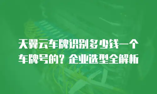 天翼云车牌识别多少钱一个车牌号的？企业选型全解析