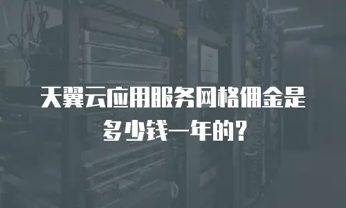 天翼云应用服务网格佣金是多少钱一年的？