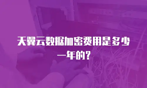 天翼云数据加密费用是多少一年的？
