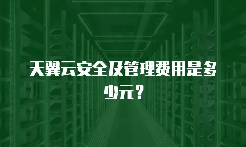 天翼云安全及管理费用是多少元？