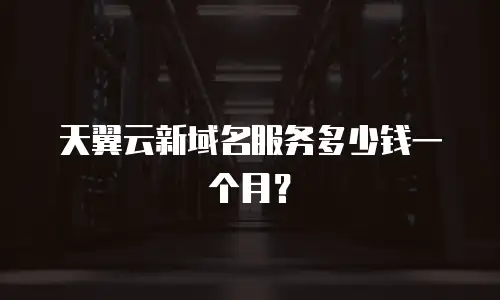 天翼云新域名服务多少钱一个月？