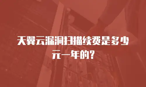 天翼云漏洞扫描续费是多少元一年的？