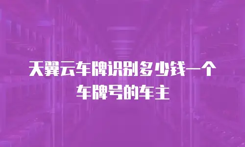 天翼云车牌识别多少钱一个车牌号的车主