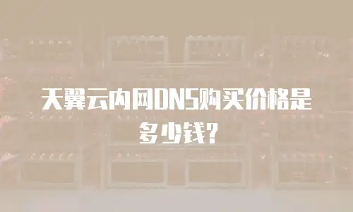 天翼云内网DNS购买价格是多少钱？