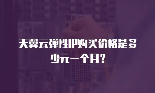 天翼云弹性IP购买价格是多少元一个月？