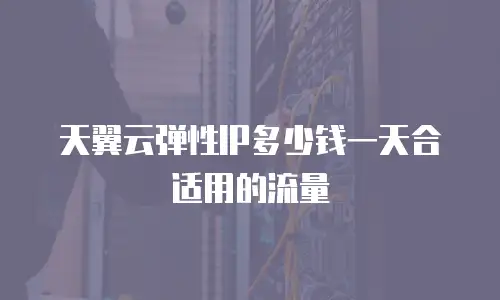 天翼云弹性IP多少钱一天合适用的流量