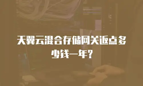 天翼云混合存储网关返点多少钱一年？