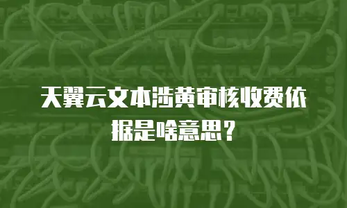 天翼云文本涉黄审核收费依据是啥意思？