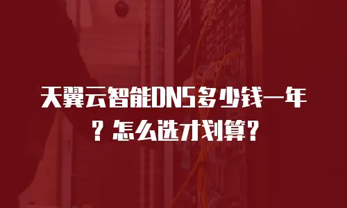 天翼云智能DNS多少钱一年？怎么选才划算？