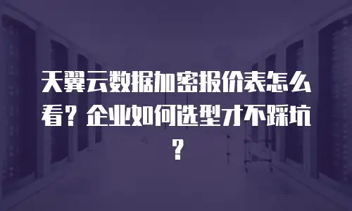 天翼云数据加密报价表怎么看？企业如何选型才不踩坑？