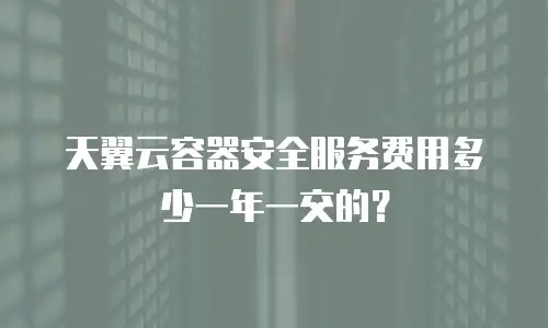 天翼云容器安全服务费用多少一年一交的？