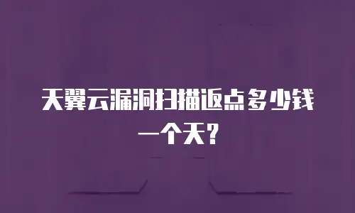 天翼云漏洞扫描返点多少钱一个天？