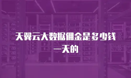 天翼云大数据佣金是多少钱一天的
