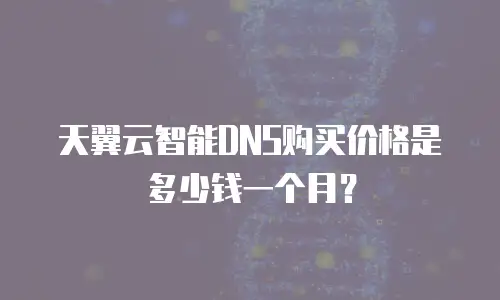 天翼云智能DNS购买价格是多少钱一个月？