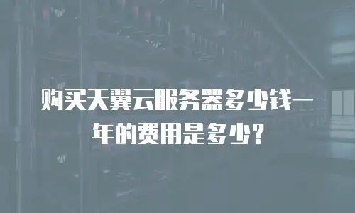 购买天翼云服务器多少钱一年的费用是多少？