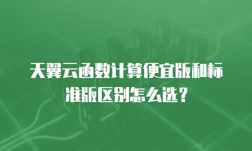 天翼云函数计算便宜版和标准版区别怎么选？